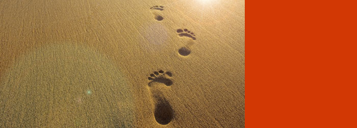Following genetic footprints out of Africa