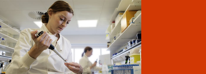 PhD studentships available now
