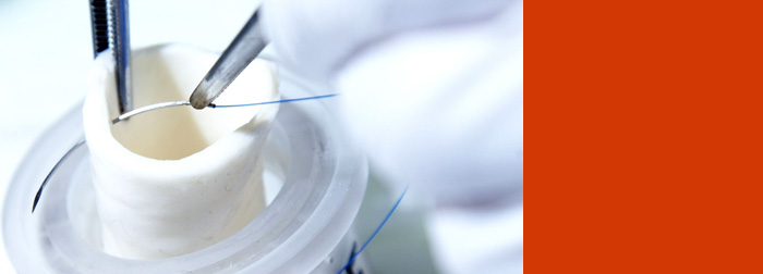A new generation of biological scaffolds