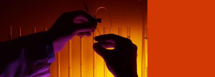 White Rose universities launch new bioscience PhDs