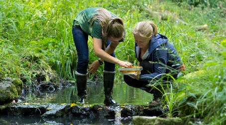 Better Biosecurity: Slowing the Spread of Invasive Non-Native Species (INNS)