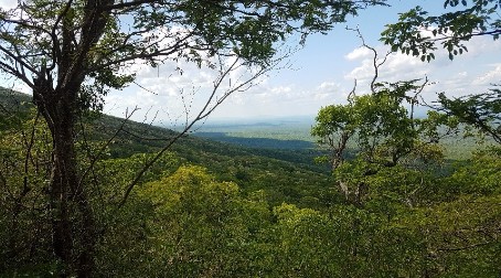 Fieldwork in the Bolivian Pantanal and the importance of community engagement