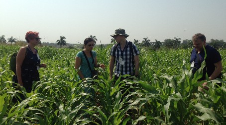Prof. Alison Baker awarded 4 year India partnering award by the BBSRC
