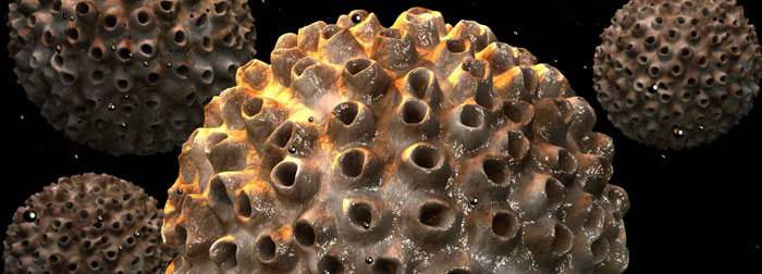 images/700_hpv.jpg