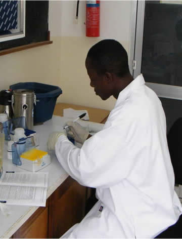 In the lab in NARL, Kawanda