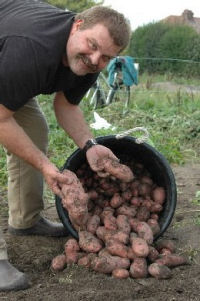 Prof Denecke with potatoes