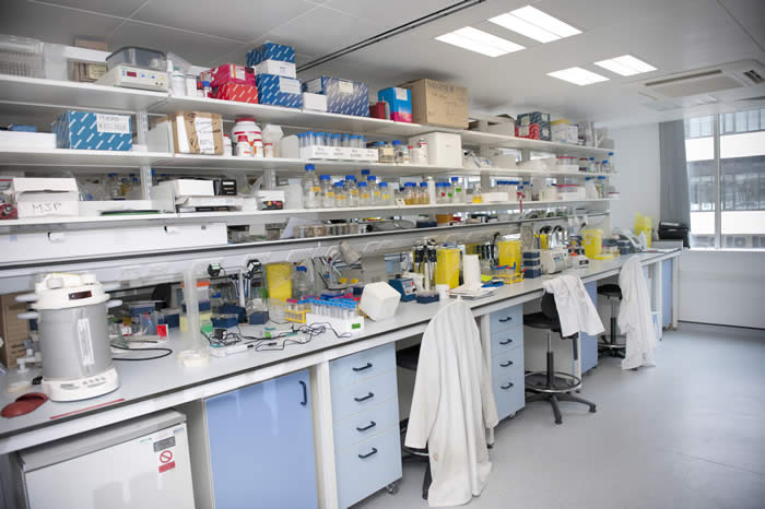 Typical group bay in the communal lab