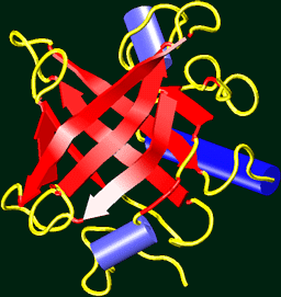 Mouse Urinary Protein