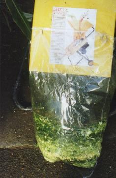 Silage